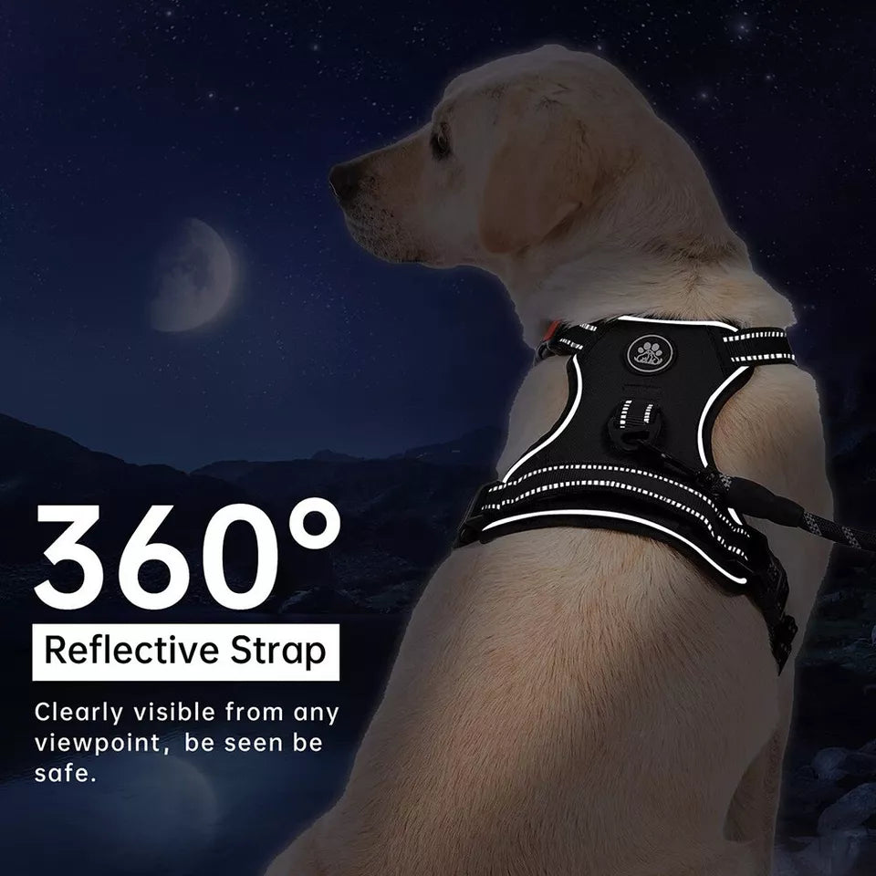 Dog Harness No Pull For Small Medium Large Dogs